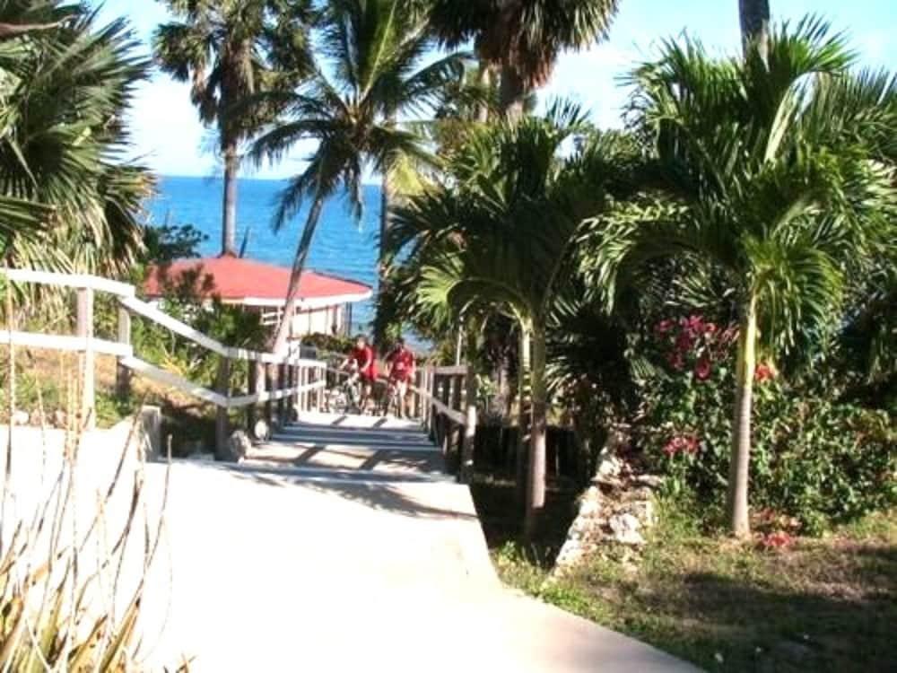 Treasure Beach Hotel Natură foto