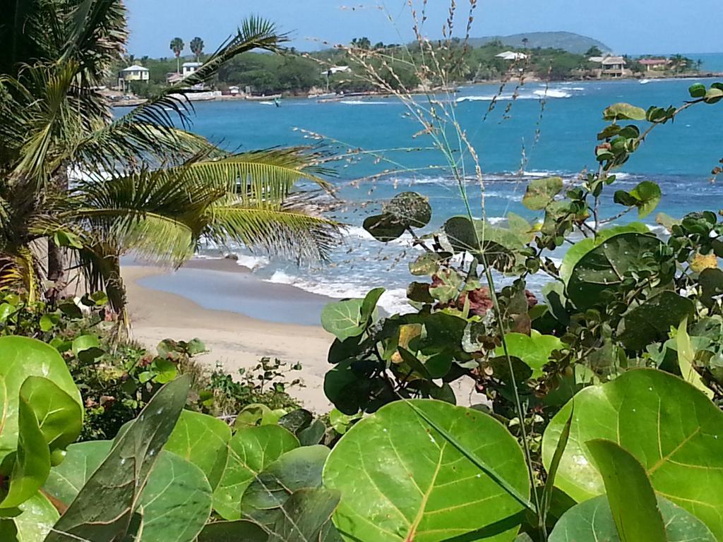 Treasure Beach Hotel Exterior foto